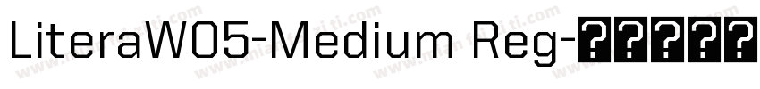 LiteraW05-Medium Reg字体转换